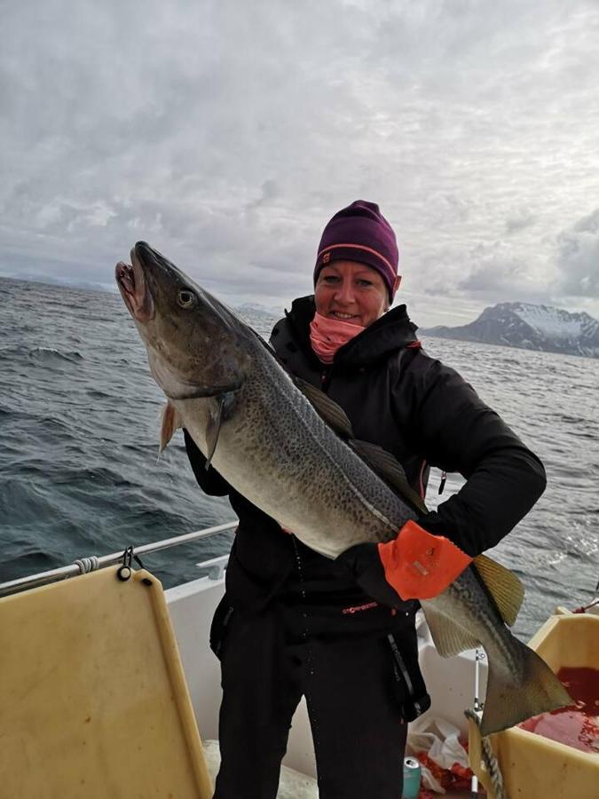 Willa Rigmorhuset Fjordgard Zewnętrze zdjęcie